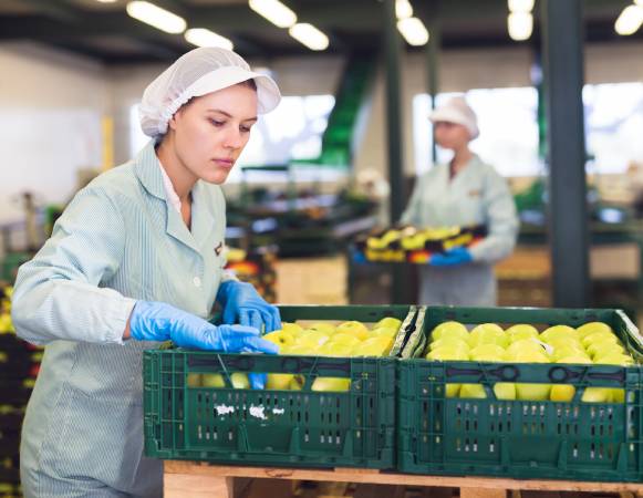 在食品行业工作